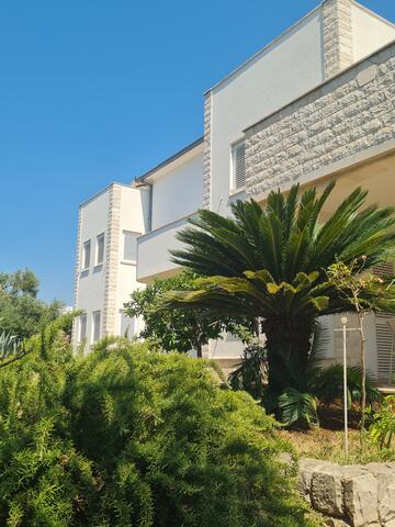 Haus mit Palme